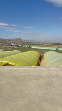 ئەم مەزرەعە ناوازەیە بۆ فرۆشتن خانووی تیایە ١٥بەیت تیایە بیرێكی زۆر با...