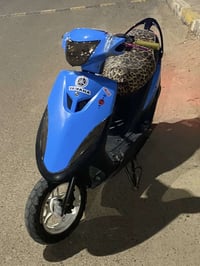 ماكس عدلة • بوشه ٥٥ • معدل