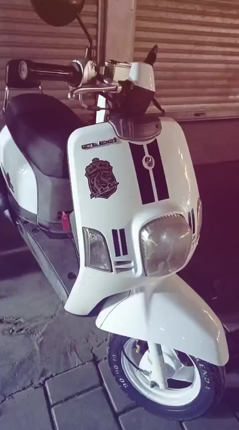 بوليس كابريتر كفالة عامة نقصهة باتري فقط مكينة خرسة مراوس بعدلة مرتبة


**إذا كنت صاحب هذا الإعلان وتريد حذفه لأي سبب، رجاءا أرسل رسالة إلى الدعم الفني**