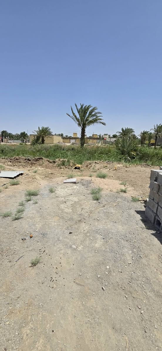قطعه زراعي للبيع م٢٥٠متر طريق ابو الماش بحي الحسين خلف بستان بيت حطيبه ***********
