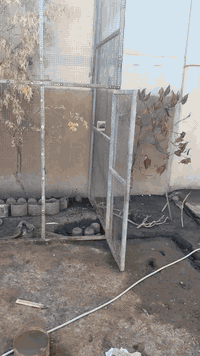 قفص حجم كبير للبيع  سعر ٤٠٠ وبي مجال  للشرايه٠٧٧٣٠٢٣٠٠٣٨