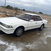 مارك كصيف • ماعليه غرامات • ميسان الكحلا