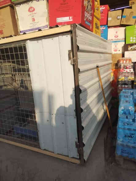 السلام عليكم
مولد مستخدمه شهر متروكه 

بعد بل ضمان الف ساعه
٣٨كيفي 
تصرف كاز بل ساعه ٤ لتر

كامله قفص تانكي جهازه من كلشي 

السعر للإستفسار ع رقم ***********
