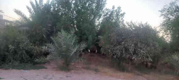 بيت زراعي بجبراوة مساحته ألف متر 250 بناء بيه 3غرف نوم وصالة ومطبخ وصحيات والباقي بستان زغير زيتون ورمان ونخل واشجار ضل بيه بير ارتوازي خاص وخط ثاني مال المنطقة سعره 50 وبيه مجال بسيط للاتصال على رقم الموبايل ***********
