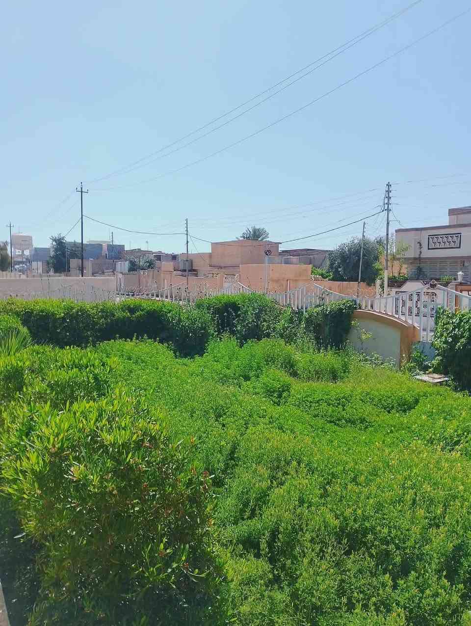 تنضيف حدايق 
ترتيب تقليم زرع 
***********
