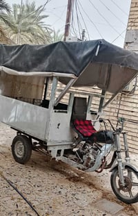 ستوته • بدون اوراق • نهايت حي اور