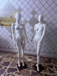 ماليكانات • كامله • ٦ قطع