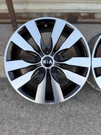 ويل كب • حجم ١٧ • بصره جامع الكواز