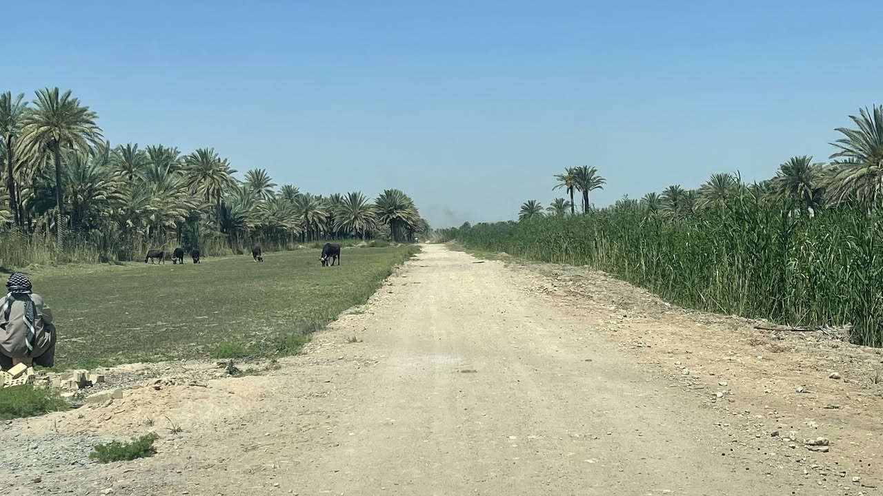 دوانم للبيع طابو 25 تحويل اسهم بس من المشتري في نهر السلام يبعدن عن طريق طويريج 1 كيلو للمعلومات اتصال الواجهه   تريد الف ينباع تريد 500 ينباع /*********** /***********
