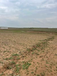 منطقه تبادل • ٦٠٠م • سند زراعي