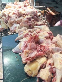 حمل دجاج • دجاج أحمر • قرية الحود