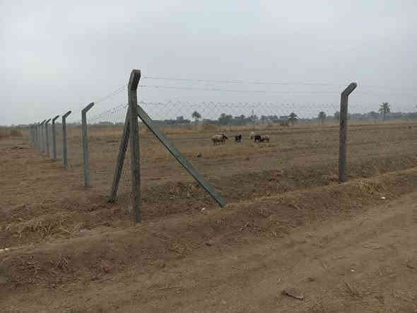 يوجد 1 دونم للبيع
جنس العقار / زراعي سند 25 
الموقع / الفلوجة الشهابي الثالثة خلف معمل الأسمنت 
السعر 30 وقابل للتفاوض 
للاستفسار أكثر الاتصال على الرقم  ***********
