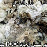 غسل • نفش • حي المحطه