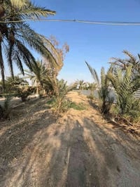 ٤ دونم طابو زراعي عقد ٢٥ بغداد مشروع الوحدة خلف شركة ماء السد للإستفسا...