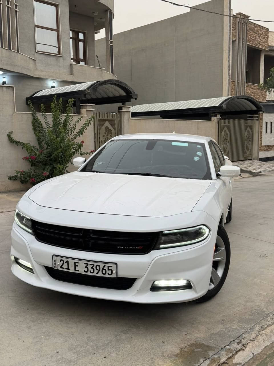 جارجر18. سياره كلين كلين. سياره جديده بمعنى الكلام ماشيه77 مواصفات sxt بدون فتحه  رقمها سليمانيه سياره مناقصها برغي برغي مناقصها صدر امامي جديد خلفي جديد تايرات جدد سياره ع شركة باقي  سياره احله من صور بهواي تعال وشوف تترحملي 
سعره 
سعره
245 وبي مجال وكلشي موجود بلسوك اقل اكو بهواي بس اني انطيك سياره كارتون
***********
