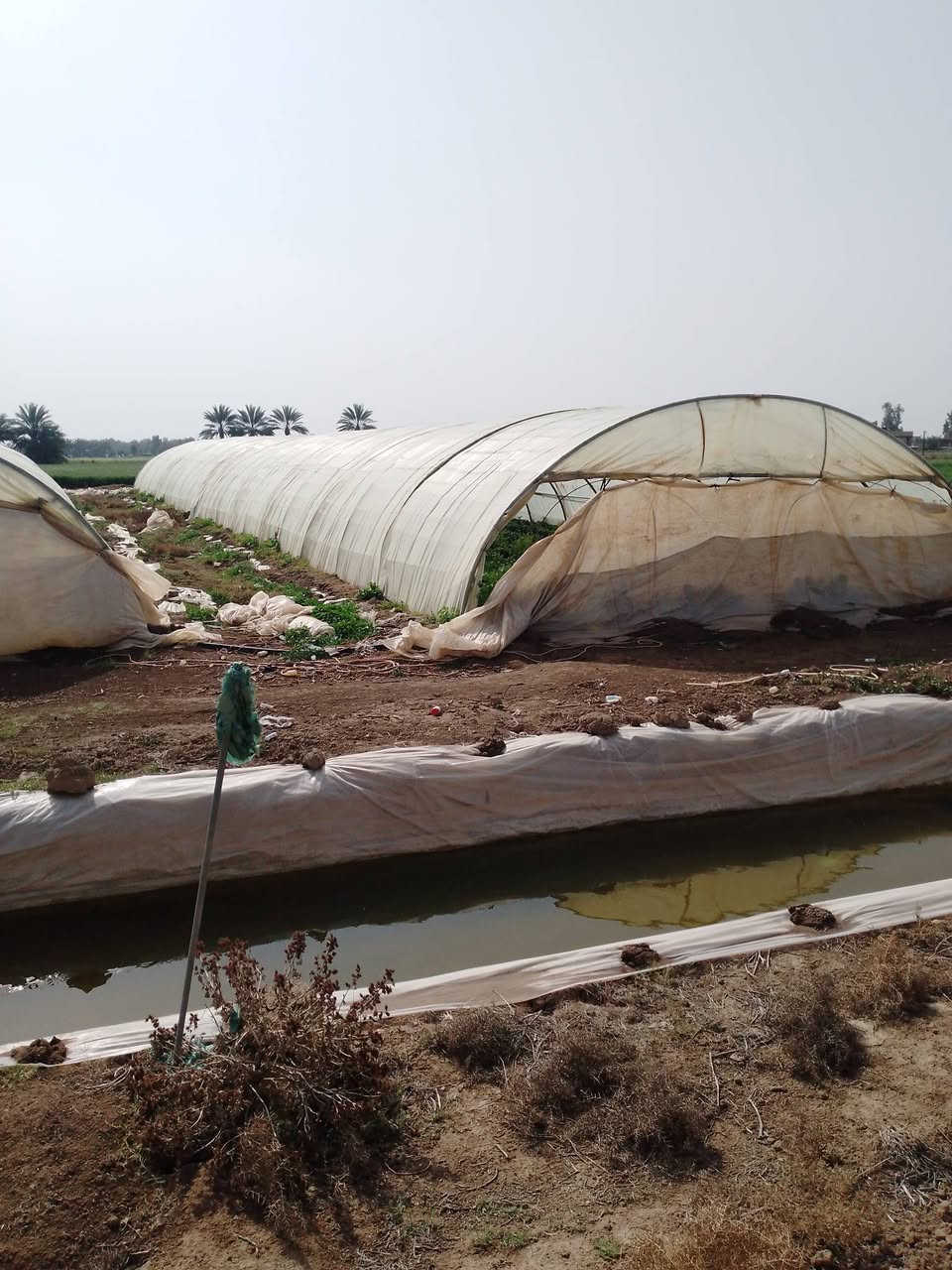 السلام عليكم..عادة نشر بسبب كذب بل وعود و جماعه الي يكسوم حلال ناس 

بيوت زجاجه لبيع عدد ثنين 
واحد لبناني ٢٢قوس 
ثاني اردني ٢٣قوس 

من يرغب بل شراء يتواصل خاص 

لي مايشتري لا يدوخني


**إذا كنت صاحب هذا الإعلان وتريد حذفه لأي سبب، رجاءا أرسل رسالة إلى الدعم الفني**