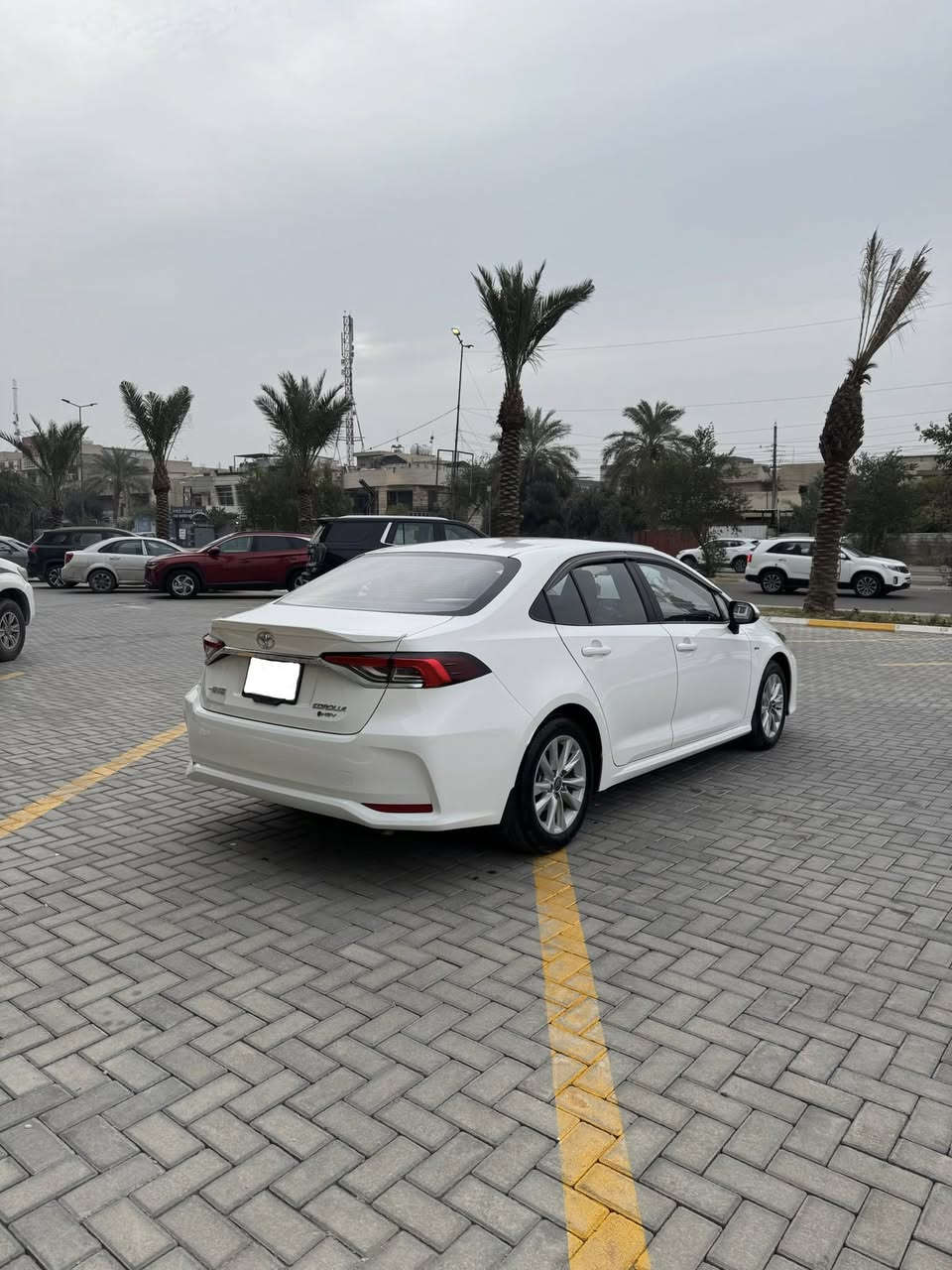 سلام عليكم
كورلا  هايبرد 2025 شكل الخليجي علامة سودة فول للاخير ماشيه 6000 رقم بغداد الإنكليزي
فتحة سقف 
بصمة تشغيل 
بصمة ابواب 
رادار 
تحذير عند خروج عن المسار 
مثبت سرعة 
اكواب حار بارد 
قيادة ذاتية 
بريك ذاتي عند حاجة 
وضعيات قيادة 3
زر EV 
اوتو هولد 
هند بريك ذكي بصمة 
 فول تحكمات ستيرن 
شاشة كبيرة كار بلي +حاكية 
ويل كب تيوتا 
بك لايت لد اضواء زينون +كشافات زينون 
شاشة عدادات دجتل 
اشاير مري 
تبريد قطعتين ثلج 
منافذ طاقة بل خلف  وبل امام 
زر اوتو لايت عالي 
اربع جام اوتو 
داخل جلد بلادي
أناره داخلية لد 
دخول ذكي بدون مفتاح 
ترحيب عند اقتراب 
* السيارة بيها شخط كلش صغير موضحة بالصور 
السعر : 165 $ 
الهاتف : ***********
