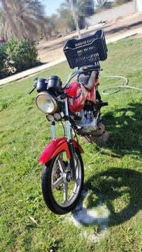 دايون عضم • مكفوله • بابل القاسم