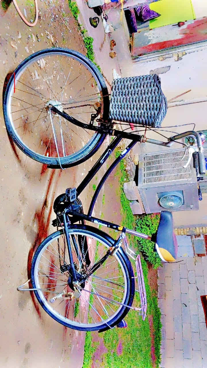 للبيع بايسكل نضيف الحجم 26 اللون اسود بلاد
تايرات وجوابه جدد وياله لشه عدلات مطابقات مختمات 
السعر 100 وبي مجال للشراي 
العنوان بعقوبة التحرير 
***********
