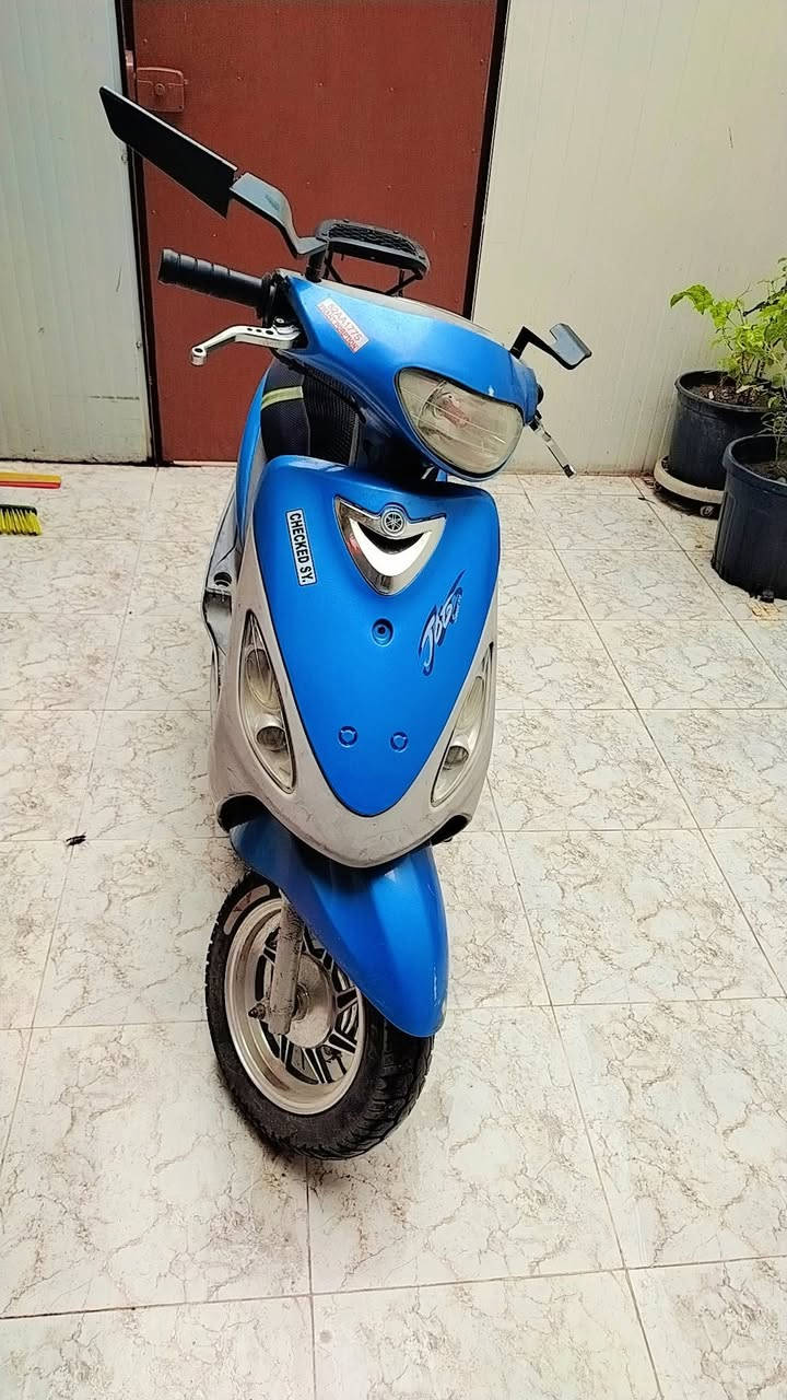 البيع 550 
***********
نجف
