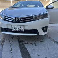 كورلا لبيع فول خليجي. 07711145695/07506103911الكورك بي وتساب