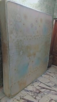 دوشك نفرين • الحرية