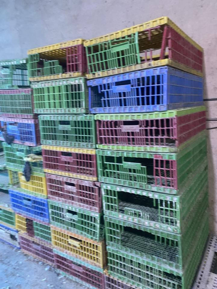 قفاص للبيع  نص عمر 
***********
