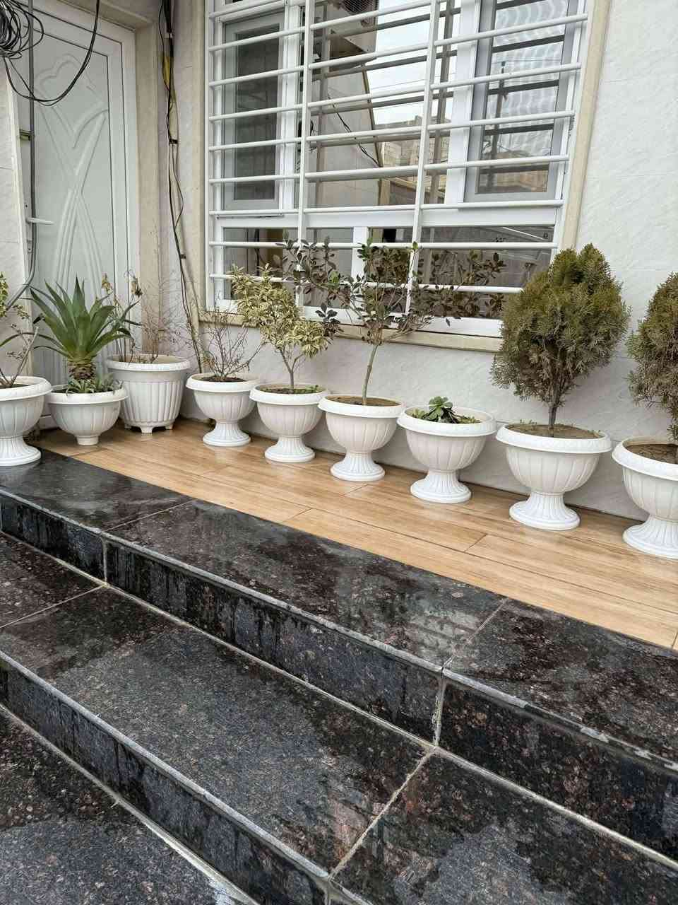 قحوفي للبيع مع الغمل وزرع وقحف الواحد ب٧


**إذا كنت صاحب هذا الإعلان وتريد حذفه لأي سبب، رجاءا أرسل رسالة إلى الدعم الفني**