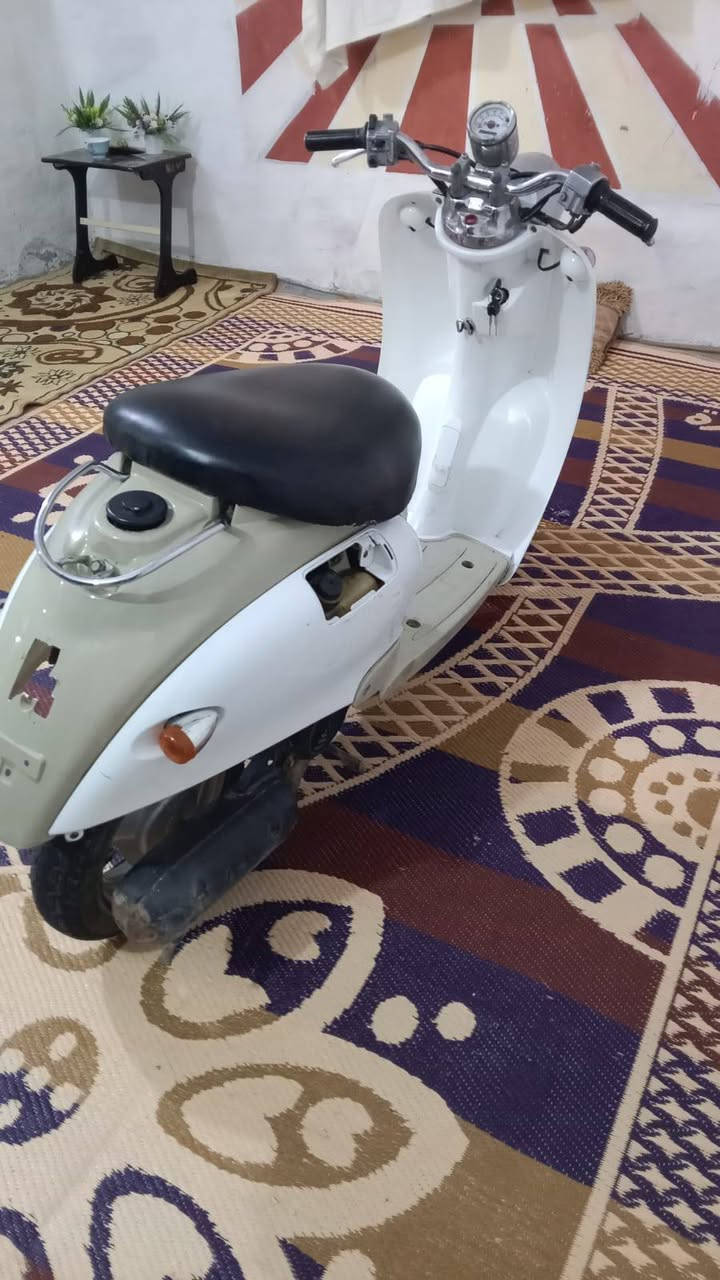 من رخصهه ادمن متاح دراجه عبد الحليم للبيع سعر ع خاص


**إذا كنت صاحب هذا الإعلان وتريد حذفه لأي سبب، رجاءا أرسل رسالة إلى الدعم الفني**