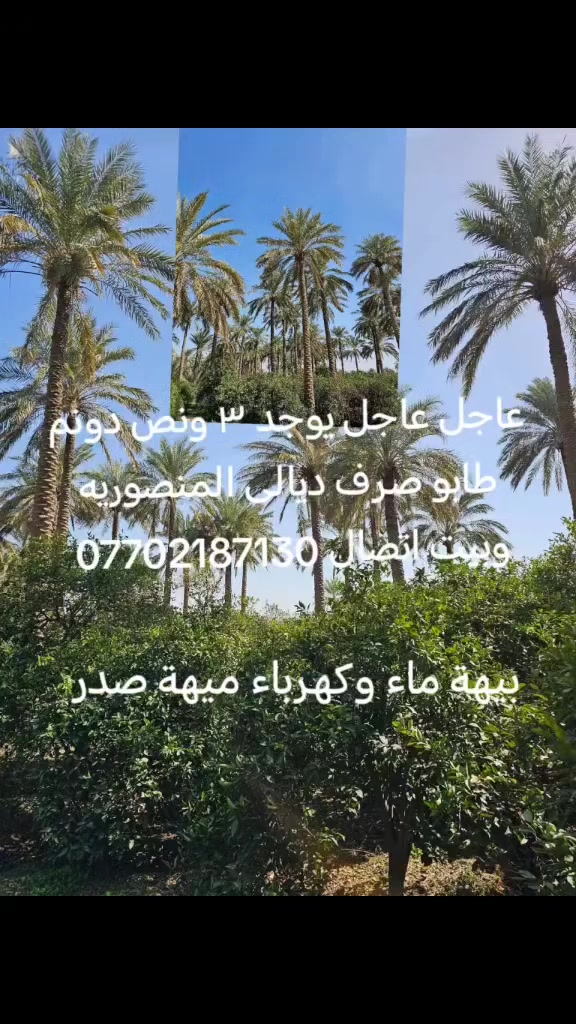 على طريق دلا عباس السعر ٣٥ وبي مجال اتصال ***********
