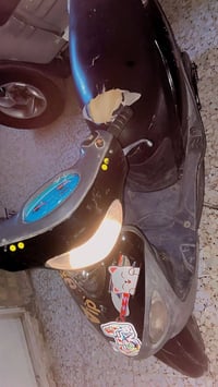 منغولي • بوشه ٥٥ • كهربائية