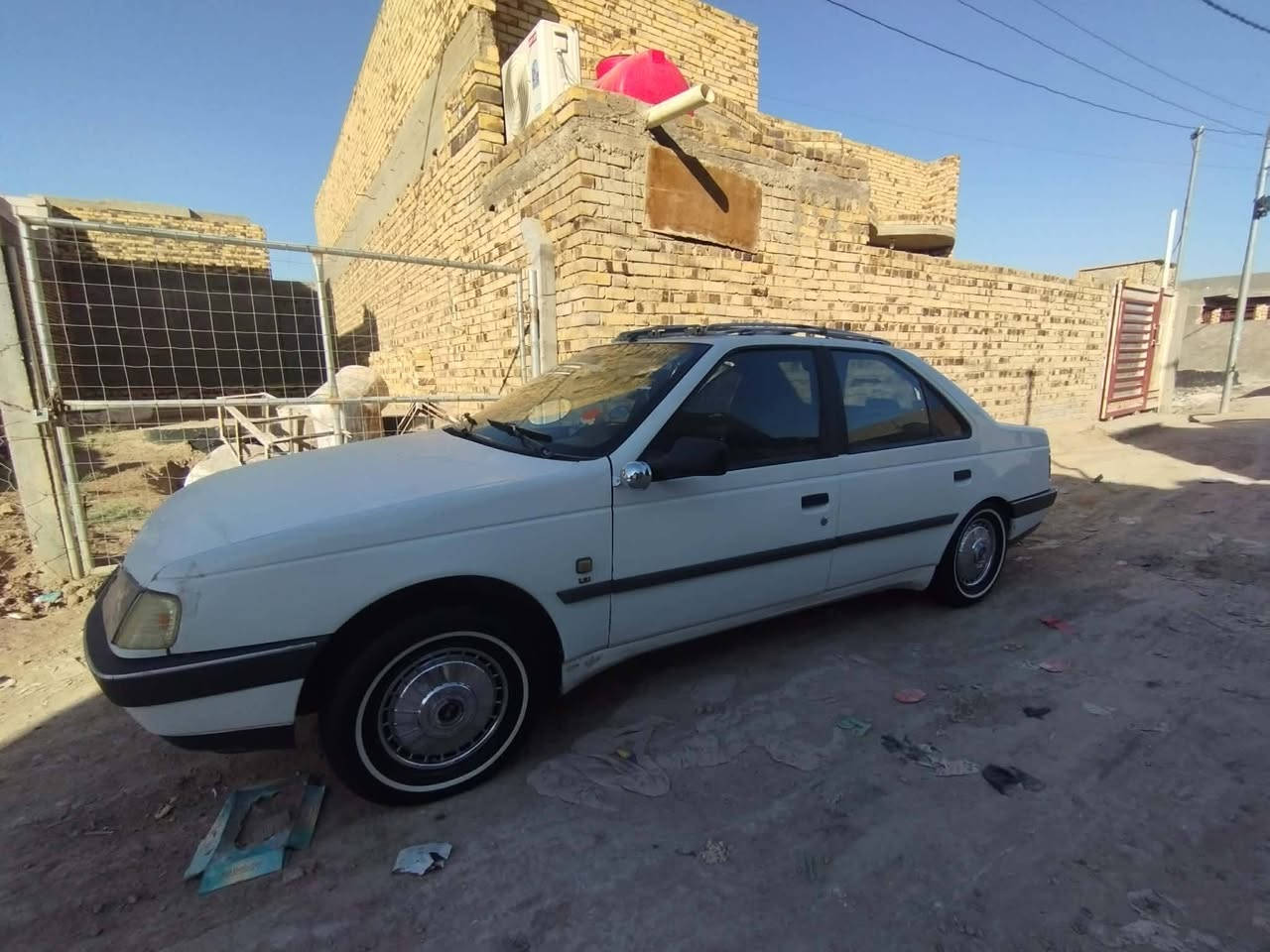 كبات أبو لأسد للبيع حلوات مكاني بابل ‏‪***********‬‏ متواجد خاص
