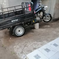 ستوته • معمرة مكفولة • رقم وسنويه الماني