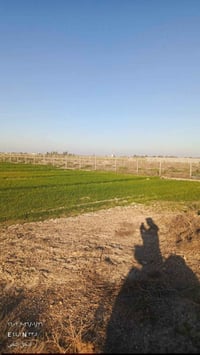 🌵5دوانم للبيع على المشروع الاراضي مباشر العنوان تاجي ذراع دجله تباع دو...