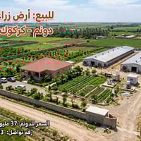 المعاضيد • ٩ دونم • طابو زراعي