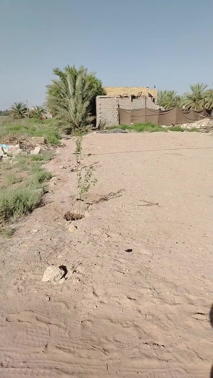 قطعه للبيع مكان موكب فقط
على طريق المشايه بتجاه كربلاء المقدسة 
العنوان الكوفه منطقة الزركه
على طريق العلماء
 مقابل عمود 130 جهت يا حسين
على شارع أكاديمية شرطة النجف
190 متر 
ماء كهرباء متوفره القطعه بيه مكاتب فقط 
للأستفسار الاتصال واتساب فقط ***********

