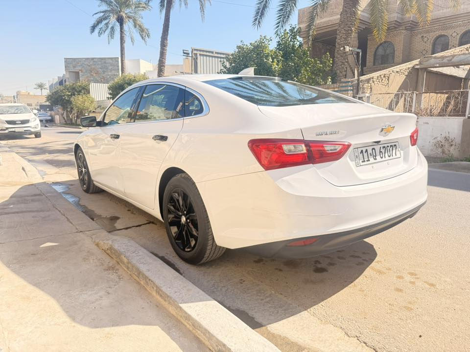 السلام عليكم
ماليبو 2023 بدون صبغ فئة LT رقم بغداد للبيع السيارة جديدة جداً بدون اي نواقص حادث بالصور دعامية فقط بدون صبغ مكينة 1500 تيربو تخم تاير جديد قبل يومين السيارة جاهزة اي كلوب بالدشبول ممشتغل بيها ماشية 57 الف مايل مواصفات بصمة وفتحة وتبريد قطعتين وشاشة كبيرة ورادار وتحديد مسار ونقاط عمياء السعر 145 مكاني اعظمية اي استفسار ***********
