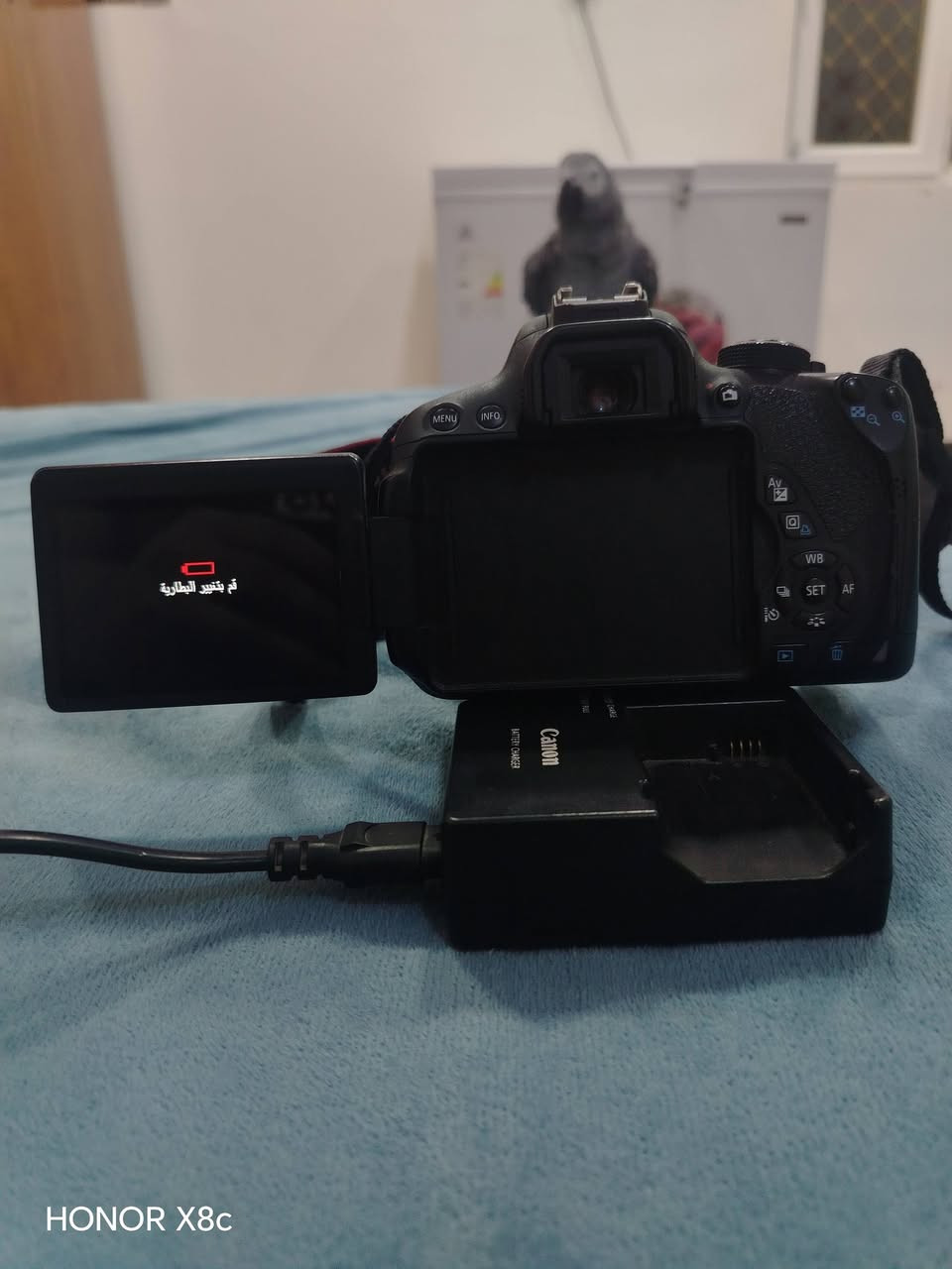 كاميرا كانون 700D نظافتها شرط وياها احزام وشاحنة وبطارية ورام 16 كيكة شاشة لمس السعر 500 قفل مكاني ديوانية واتساب ***********
