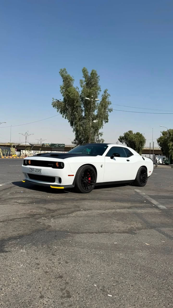 دودج جالنجر هيلكات جيلبريك (Jailbreak)
717HP

من أنظف وأجمل سيارات العراق، وسيارة استخدام شخصي وعلى إيدي من أول ما وصلت.

مواصفات السيارة:

* ماشية فقط 9,000 Mile.
* داخلة العراق Clean Title.
* صبغ أمريكي فقط:
    * جاملغ خلفي.
    * باب.
* الإيرباك بشرط.
* بجم كبس .   
الحوض كبس.
* بدون أي برغي نقص.
* السيارة بالكامل وضع وكالة:
    * المكينة وكالة.
    * السوبر وكالة.
    * الحجرات وكالة.
    * وكل أجزاء السيارة أصلية وما بيها أي لعب أو تعديل.

السيارة مداريها من كلشي، ونظافتها تبيض الوجه، واللي يعرف سيارات الهيلكات راح يميزها من أول نظرة.

السعر: 36,500 دولار (ورقة فقط).

والله العظيم خواتها بالسوق توصل إلى 5 شدات وما يوصلن لهالنظافة.

سبب البيع: فاتح مشروع جديد، والرزق أهم.
الله يرزقني ويرزق الجميع، وبالعافية على اللي تكون من نصيبه.

للتواصل:
📞 ***********
