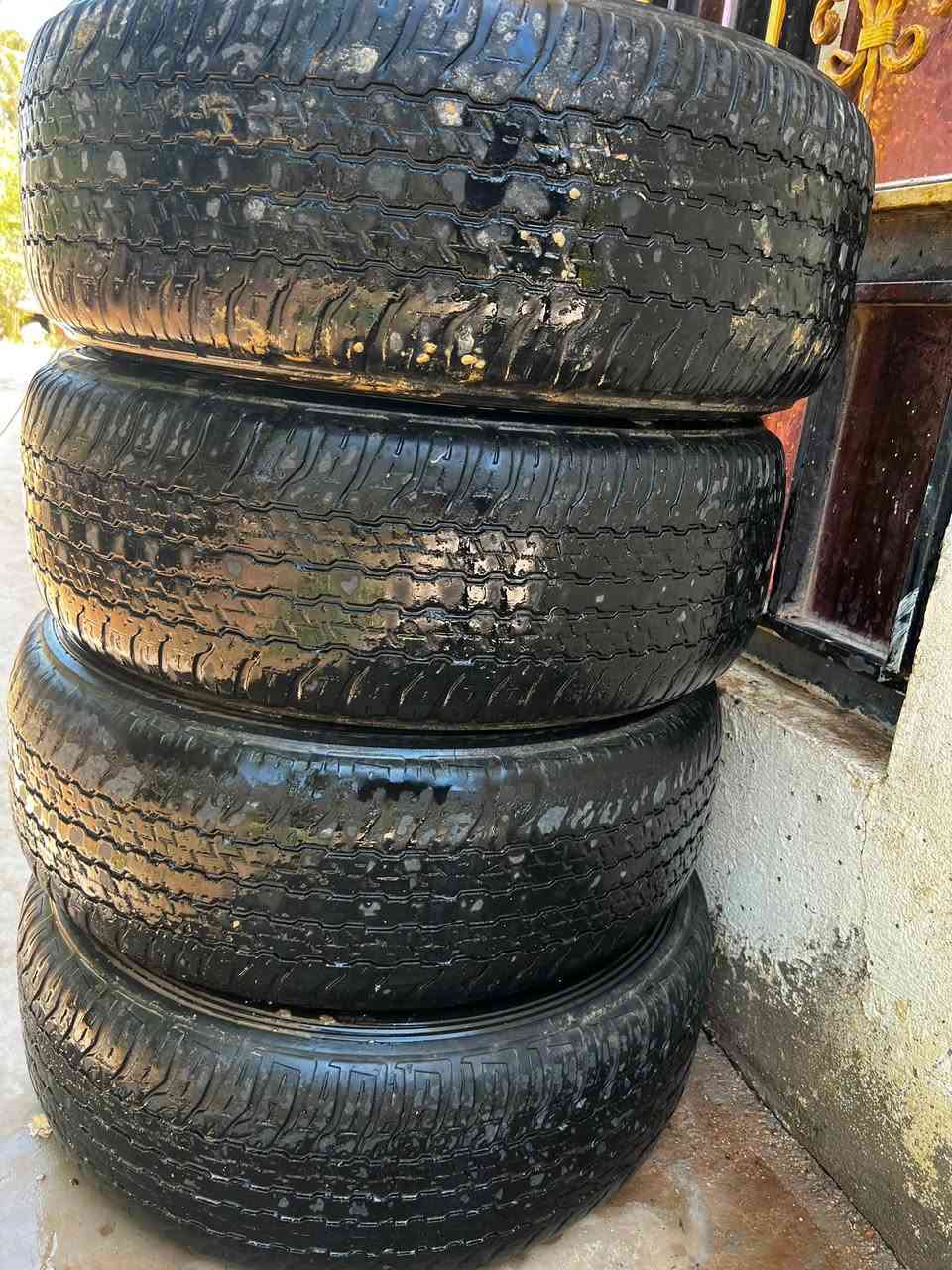 تخم تيوتيا فورويل مال الشركة نص عمر 
***********
