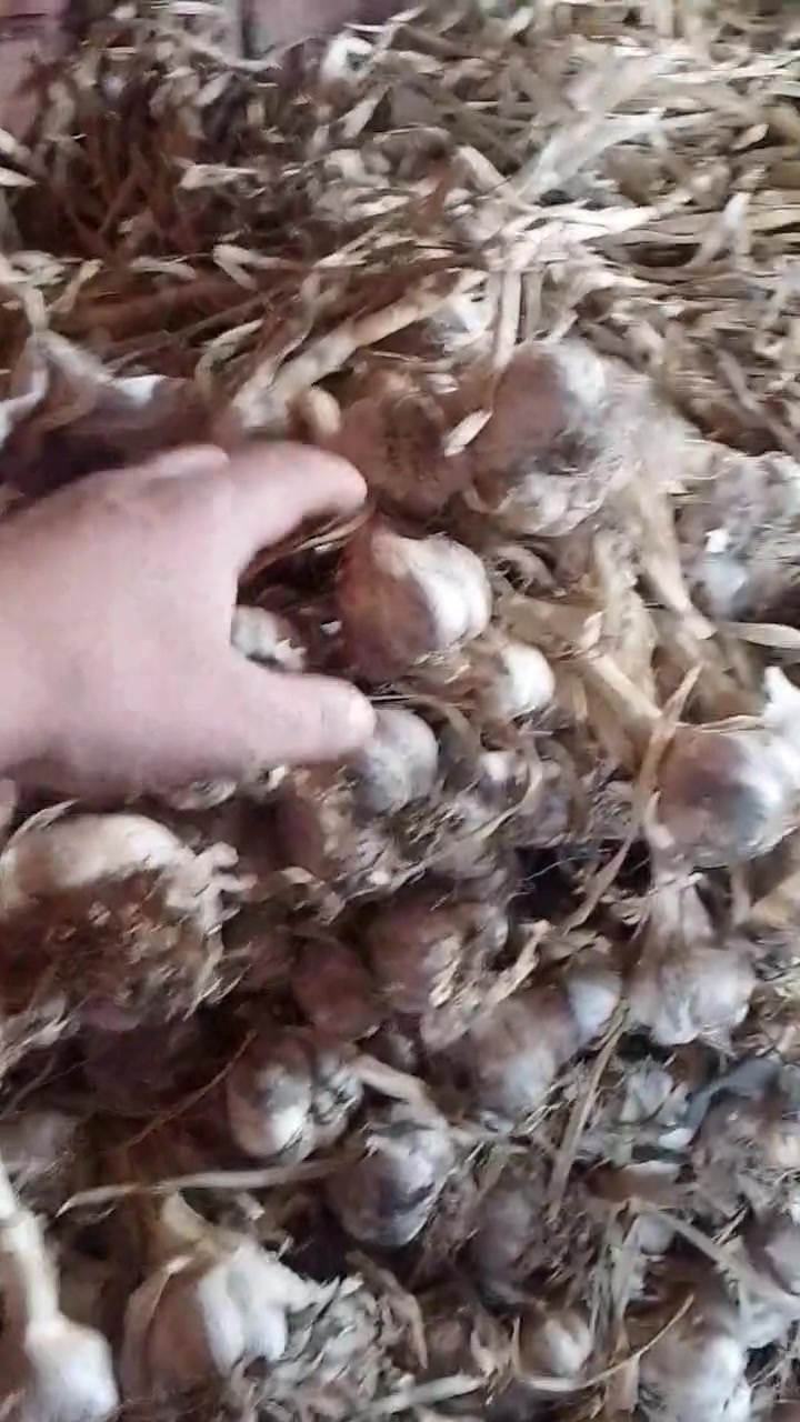 ٤طن توم فاخر للتواصل موبايل 01080114212
01228993878


**إذا كنت صاحب هذا الإعلان وتريد حذفه لأي سبب، رجاءا أرسل رسالة إلى الدعم الفني**
