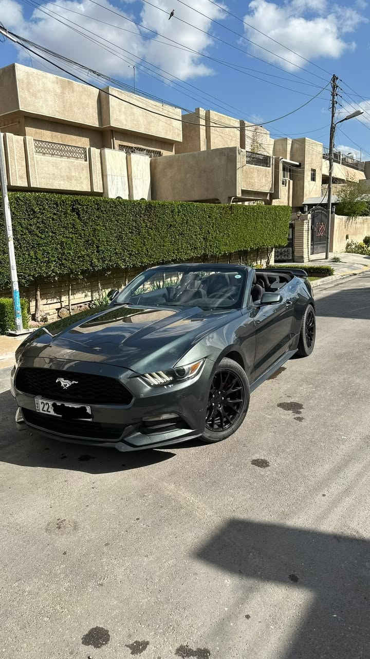 السلام عليكم
*فورد موستنك 2015 كشف 
*محرك v6 3700 
*ماشية 135 ميل
*لون زيتوني طوخ مميز 
*السيارة داخلة كلين وهنا صار بيها جاملغ امامي صبغ وشوية بالبنيد وطخة بالجاملغ الخلفي وكم مكان بارد صورة السونار موجودة 
* رقم اربيل باسمي تحويل بشرط سنوية لحد 2028
*شاشة sync 3 اصلية مال تفصيخ وتحكماتها كلها شغالة مودات القيادة والستيرن 
*عليها منظومة لايت زينون
*جناح شيلبي
*دبل بصمة تشغيل عن بعد 
السيارة نظيفة ومصروف عليها هواي ونصبتها بالحقيقة احلى من الصور  
السعر 150 وبيها مجال 
مكانها بالسيدية 
‏‭***********‬
