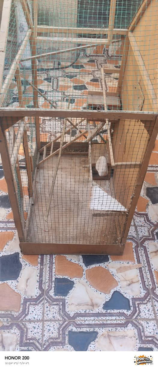 قفص مال طيور حب كوكتيل
السعر 25بي مجال


**إذا كنت صاحب هذا الإعلان وتريد حذفه لأي سبب، رجاءا أرسل رسالة إلى الدعم الفني**