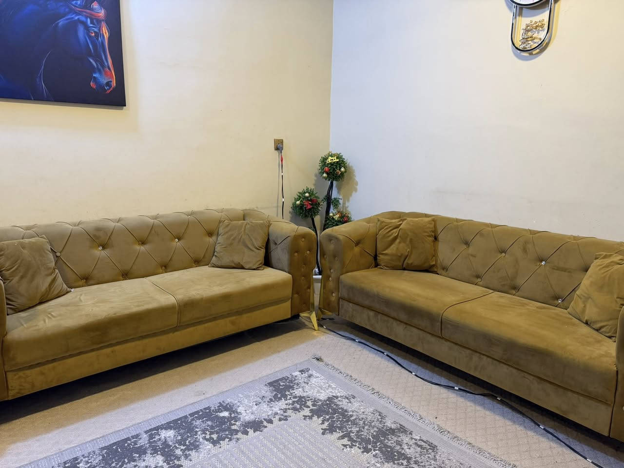 السلام عليكم تخم للبيع استخدام سنة فقط ***********
