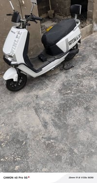 دراجة شحن • جديدة • بدون معامله