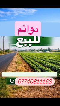 الحصن • ٩ دونم • طابو زراعي