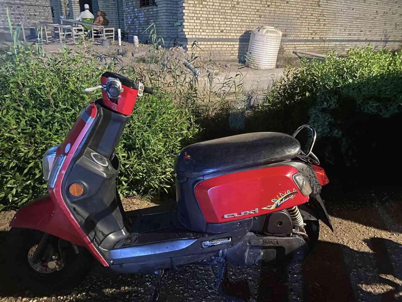 للبيع بوليسي مسطره نوزل الدراجه بلاد كله السعر 950 وبيه مجال …***********
العنوان سوك الشيوخ
