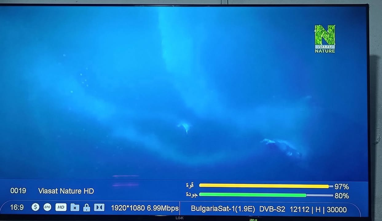 🔥 سيرفر صلاح سات 🔥
📡 نوع السيرفرات المتوفرة:
🔹 فوريفر (عادي + VIP)
🔹 CCCam
🔹 IPTV

✅ مستعدون لتنفيذ جميع طلبات السيرفرات
⚡ سرعة • ثبات • جودة عالية

📞 للاتصال والواتساب:
📱 ***********

💯 ثقة – دعم مستمر – أسعار منافسة
