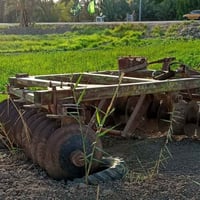 دسك ناردي 24 • حدادي • الصويرة