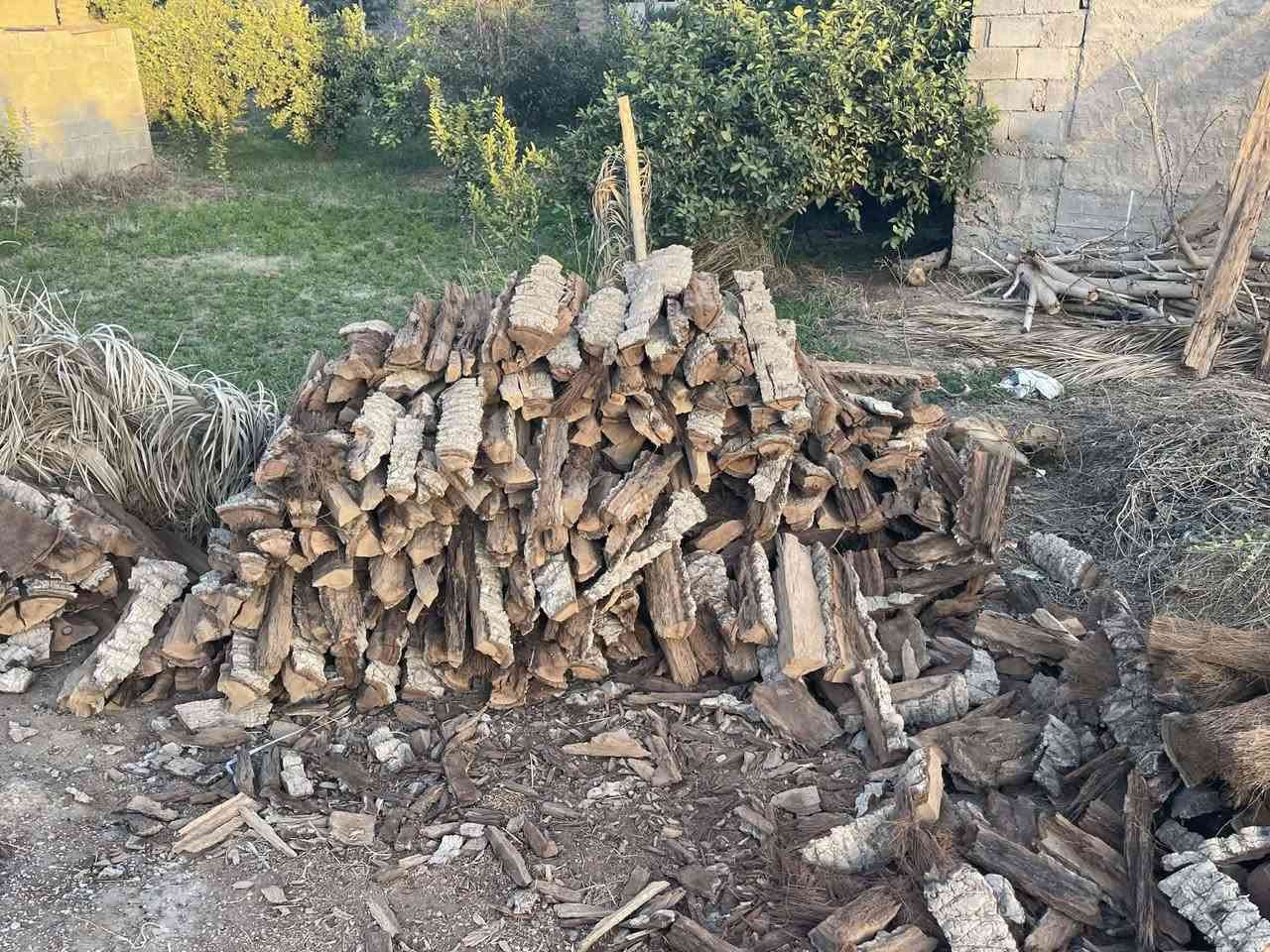 بسم الله الرحمن الرحيم 
يوجد لدينا حطب جذع النخل يابس مفصل للبيع واصل للبيت عل  الطرطوره السعر خاص٠ماسنجر  *********** ربي يرزق الجميع
